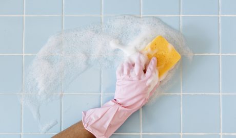 Як позбутися від мокриць в квартирі: 20 ефективних способів